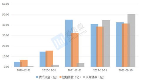 格科微布局中高像素CIS與自建Fab廠 短期財務承壓，長期戰略可期